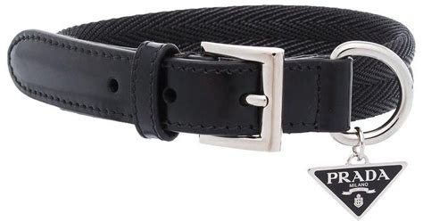 fake prada dog collar|designer inspired dog collar.